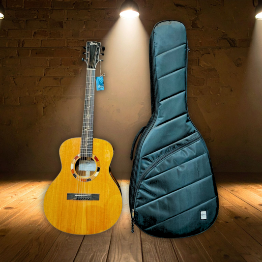Pulse G/GM Solid Spruce or Mahogany Top Acoustic Guitar