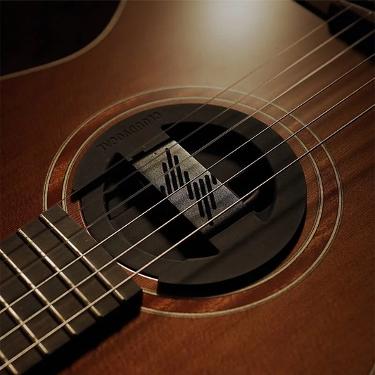 Guitar iSOLO GT-10 All-in-one Wireless Mic System