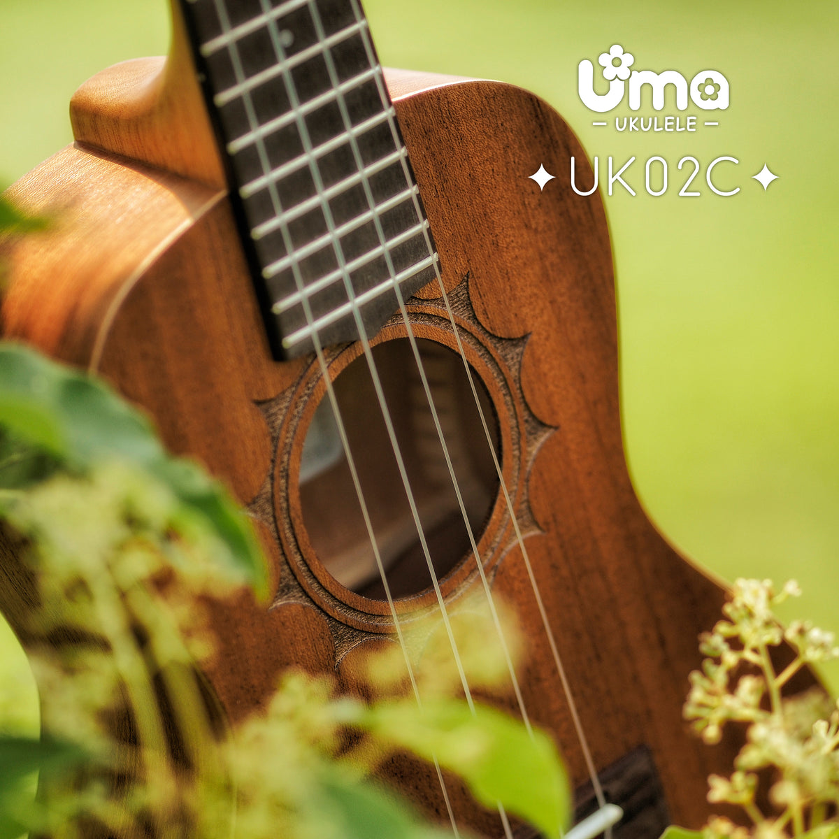 UK-02 Carving Spruce or Sapele Ukulele