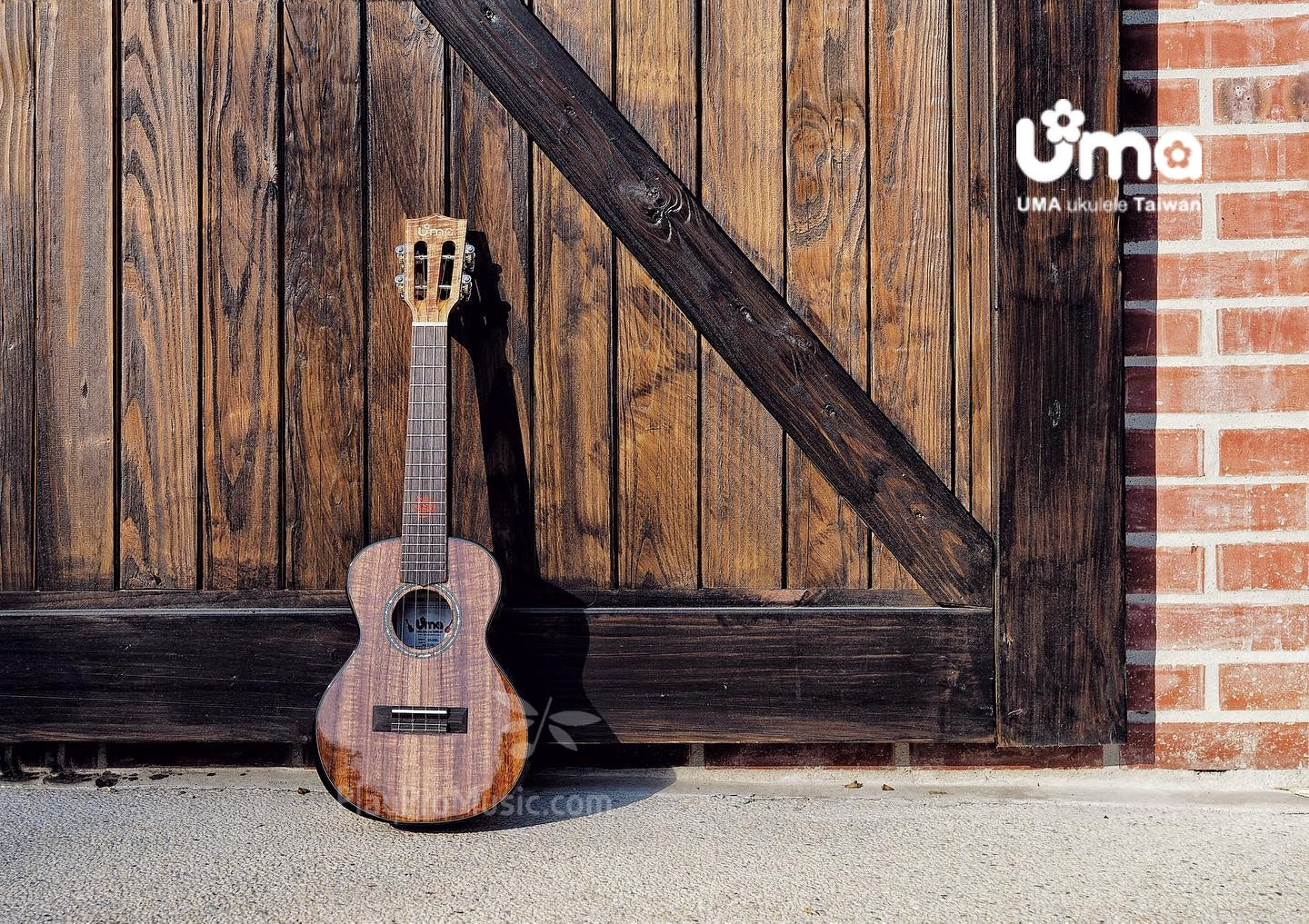 UK-35 All Solid Acacia Koa Ukulele / Ergonomic Body Curve Design