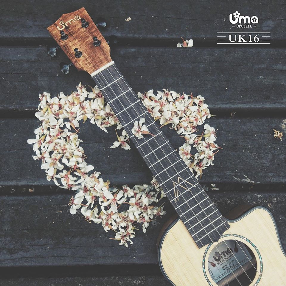 UK-16 Solid Spruce Top Cutaway Ukulele