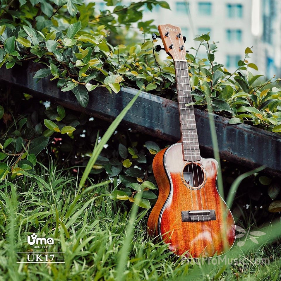 UK-17 Solid Mahogany Cutaway Honeyburst Ukulele