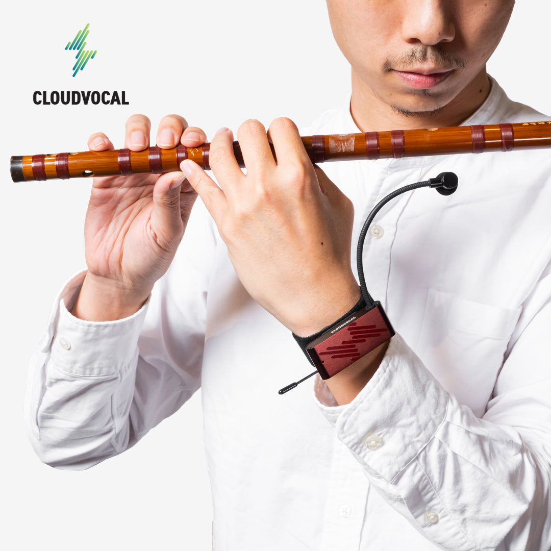 iSolo Sizhu - Chinese instruments All-in-One Wireless Mic System