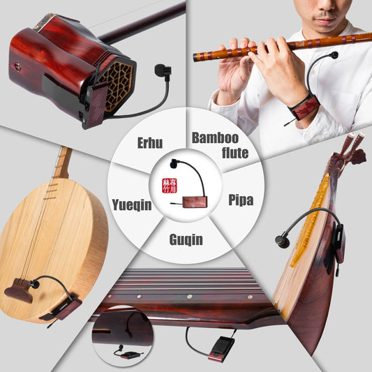 iSolo SiZhu Wireless Chinese Instruments Microphone System - Exclusive Item