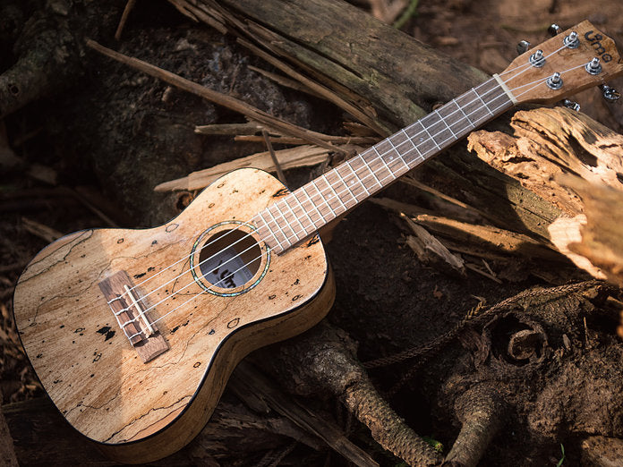 Limited UK-07 All Spalted Maple Ukulele