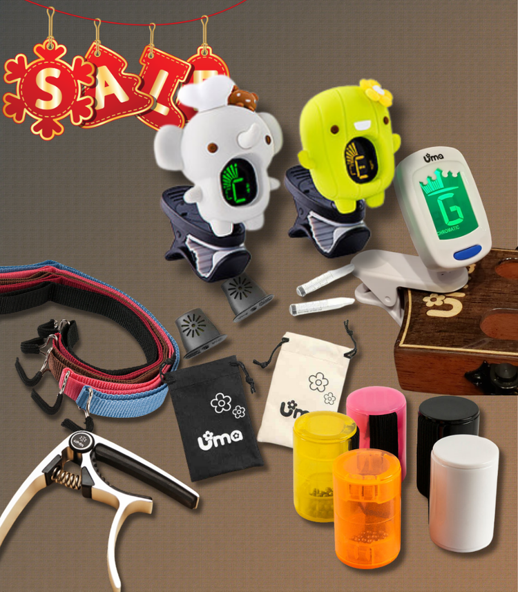 Shop Accessories 2026