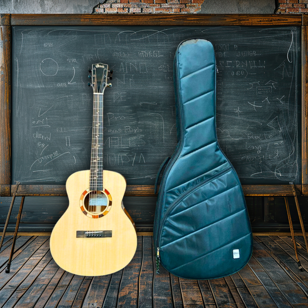 Pulse G/GM Solid Spruce or Mahogany Top Acoustic Guitar