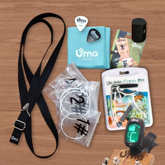 Ukulele Comprehensive Player Kit