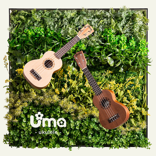 UK SUN Carving Sapele or Spruce Top Ukulele